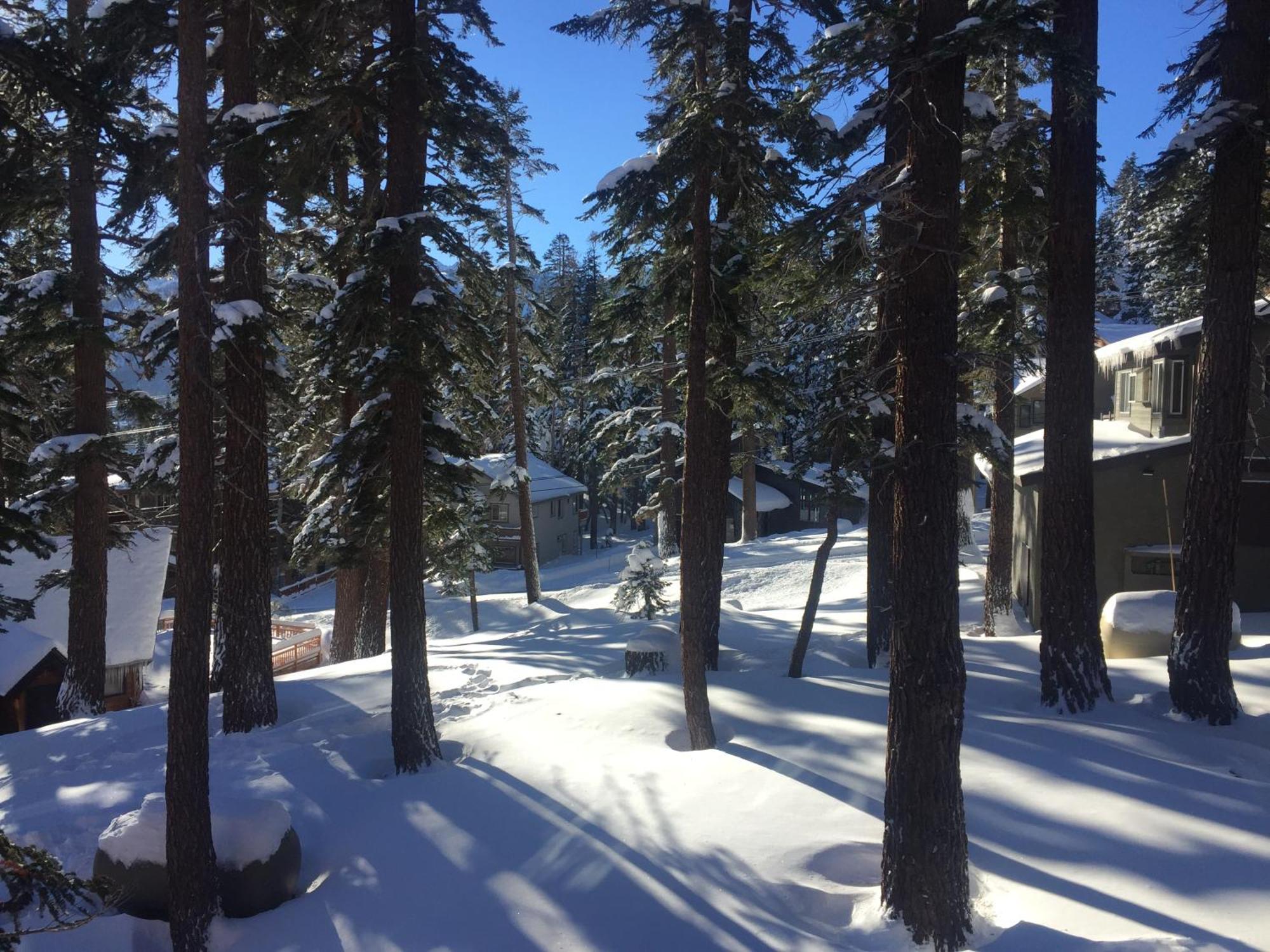 Mountainback #116, Loft,Corner Villa Mammoth Lakes Eksteriør billede